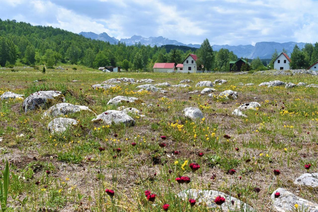 Pajo Apartments Zabljak  Luaran gambar